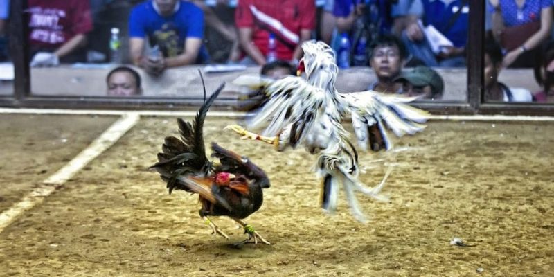 kubet 191 ﻿đăng nhập lô đề uy tín