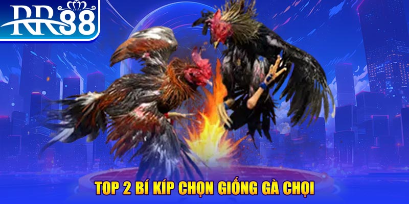 kubet 191 bắn cá h5