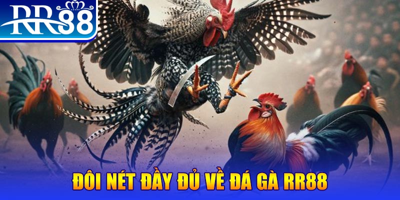 kubet 191 gà chọi hoà phong