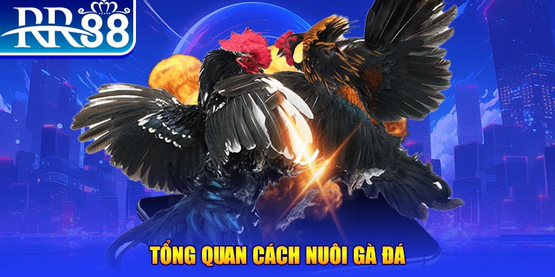 kubet 191 xổ số thứ ba