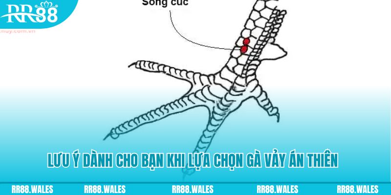 kubet 191 xổ số khánh hòa