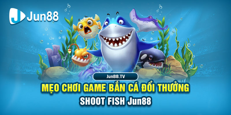 kubet 191 tải game đánh bài online về máy tính