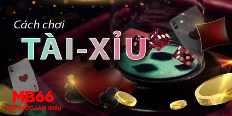 1 slot là gì
